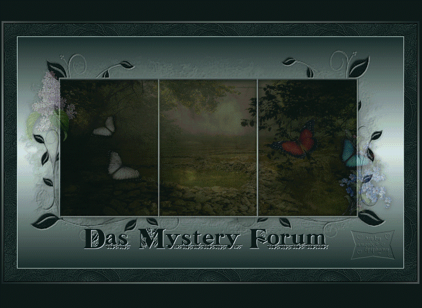 Das Mystery Forum